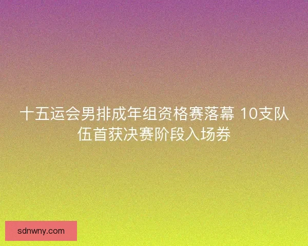 十五运会男排成年组资格赛落幕 10支队伍首获决赛阶段入场券